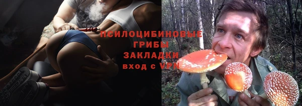 прущие крисы Арсеньев