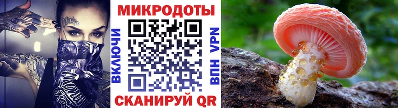 Псилоцибиновые грибы ЛСД  цены   Томилино 